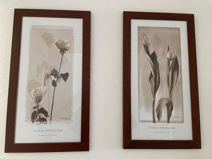 Twee Mooie Sepia Bloemenlijsten, Huis en Inrichting, Woonaccessoires | Schilderijen, Tekeningen en Foto's, Zo goed als nieuw, Foto of Poster