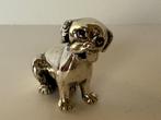 Saturno sterling zilver puppy, Ophalen of Verzenden, Zilver