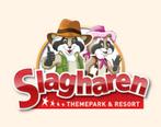 4 kaartjes voor Slagharen, Tickets en Kaartjes, Drie personen of meer, Ticket of Toegangskaart
