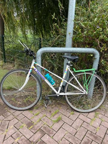 Panasonic Hybride Fiets - 21 versnellingen beschikbaar voor biedingen