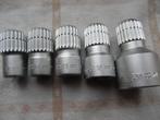 Hazet 536 holle doppen 12 14 16 18 24 aandrijving 24 tands, Auto diversen, Autogereedschap, Ophalen of Verzenden, Nieuw