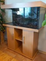 Juwel RIO 180 aquarium met LED verlichting, Dieren en Toebehoren, Vissen | Aquaria en Toebehoren, Ophalen, Gebruikt, Leeg aquarium