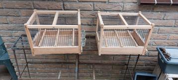 2 zeer nette zangkooitjes  beschikbaar voor biedingen