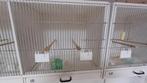 Broedkooien Heesakkers, Dieren en Toebehoren, Ophalen of Verzenden, Zo goed als nieuw, Broedkooi of Kweekkooi