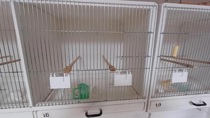 Broedkooien Heesakkers, Dieren en Toebehoren, Vogels | Hokken en Kooien, Zo goed als nieuw, Broedkooi of Kweekkooi, Ophalen of Verzenden