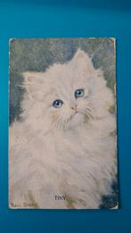 Poes kat  - illustrator Rosa Bebb 1922, Verzamelen, Ansichtkaarten | Dieren, Ophalen of Verzenden, 1920 tot 1940, Gelopen, Hond of Kat