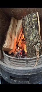 Boom gezocht, gratis weghalen, Tuin en Terras, Haardhout, 6 m³ of meer, Ophalen, Stammen