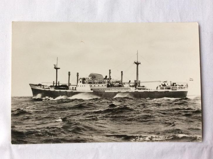 m.s. Prins Willem van Oranje - Oranjelijn, Verzamelen, Scheepvaart, Gebruikt, Kaart, Foto of Prent, Motorboot, Ophalen of Verzenden