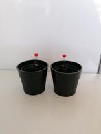 Hydrocultuur kweekpot (5/5) + bijbehorende bloempot (7cm), Tuin en Terras, Bloempotten, Rond, Ophalen of Verzenden, Zo goed als nieuw