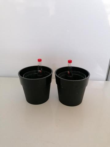 Hydrocultuur kweekpot (5/5) + bijbehorende bloempot (7cm) beschikbaar voor biedingen