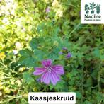 Biologische tuinplanten, Volle zon, Vaste plant, Zomer, Ophalen