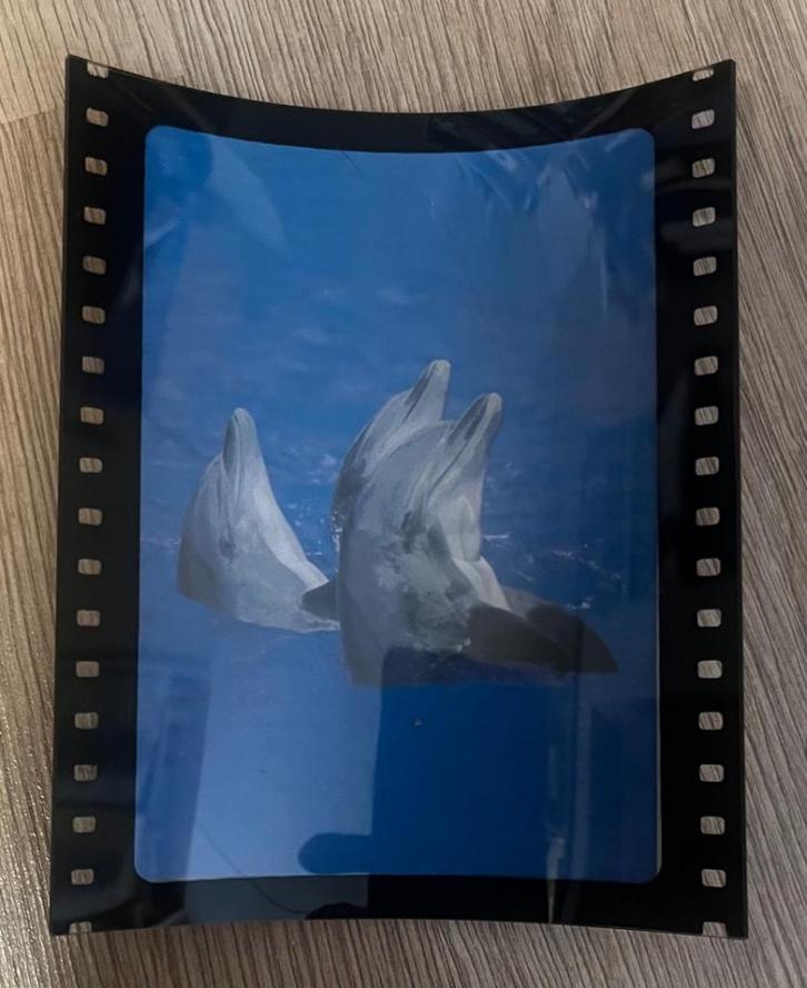 Foto wissellijst om je mooie foto's een leuk accent te geven, Audio, Tv en Foto, Fotoalbums en Accessoires, Nieuw, Ophalen of Verzenden