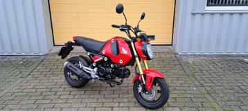 HONDA MSX 125 (bj 2021) Grom beschikbaar voor biedingen
