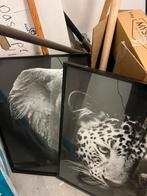 Poster in lijst, Huis en Inrichting, Woonaccessoires | Schilderijen, Tekeningen en Foto's, Ophalen, Zo goed als nieuw, Minder dan 50 cm