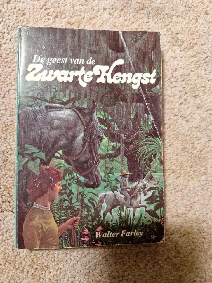 De geest van de zwarte hengst Walter Farley, Boeken, Kinderboeken | Jeugd | 10 tot 12 jaar, Gelezen, Fictie, Ophalen