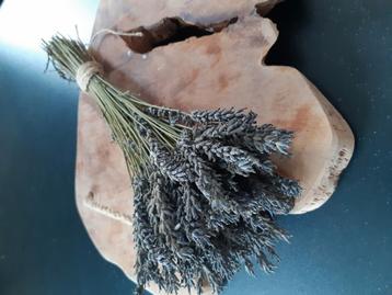 Gedroogde lavendel. beschikbaar voor biedingen