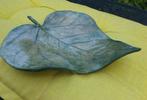 Catalpa blad van keramiek handgemaakt, Ophalen