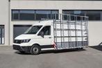 GlasRack Transit L3H2 Op Voorraad!!! - Nieuw in doos Tekimex, Nieuw, Ford, Ophalen of Verzenden