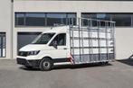 GlasRack Transit L3H2 Op Voorraad!!! - Nieuw in doos Tekimex, Ophalen of Verzenden, Nieuw, Ford