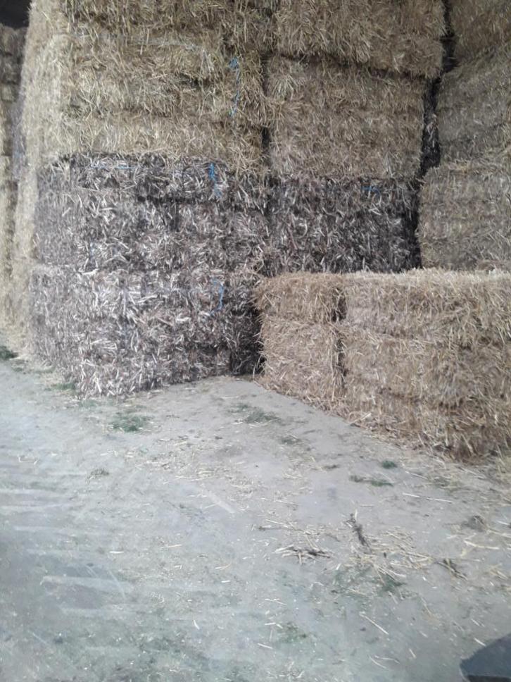 stro tarwestro gerstestro bonenstro, Dieren en Toebehoren, Dierenvoeding, Vee, Ophalen