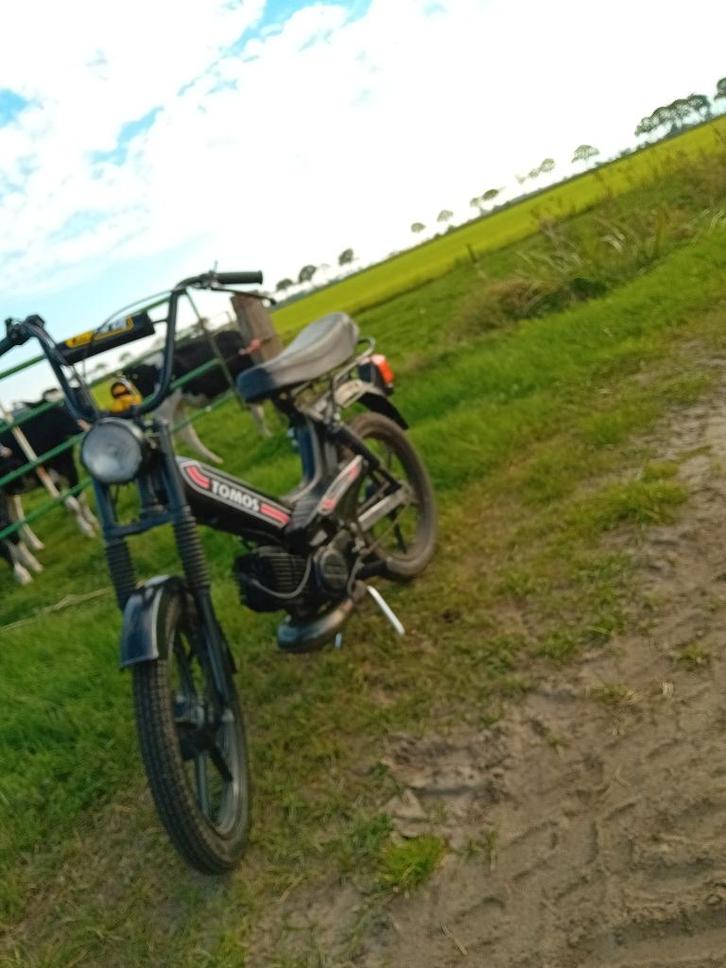 Tomos 50 cc snel, Fietsen en Brommers, Brommers | Tomos, Gebruikt, Standard, Maximaal 45 km/u, Ophalen