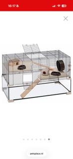 Grote mooie hamsterkooi en aankleding, Ophalen, Kooi, 60 tot 90 cm, Zo goed als nieuw
