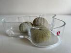 XL Iittala Design Schaal Transparant Savoy Alvar Aalto 19,5, Ophalen of Verzenden, Zo goed als nieuw, Glas, Schaal