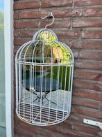 Brocante vogelkooi met spiegel, Ophalen of Verzenden, Gebruikt