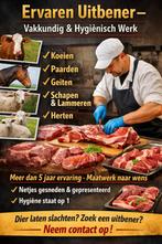 Ervaren Uitbener aangeboden, Dieren en Toebehoren, Mannelijk, Schaap