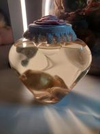 Baby fretje op sterk water taxidermie, Ophalen of Verzenden, Nieuw, Overige soorten, Opgezet dier