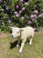 (Tuin)Beeld texel schaap, lammetje, vijver, tuin, boerderij, Ophalen, Nieuw, Kunststof, Dierenbeeld