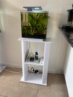 Superfish qubic 30 incl. Meubel, Ophalen, Superfish, Nieuw, Leeg aquarium