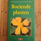Boeiende Planten - Kamerplantengids BOEK 9789039601129, Ophalen of Verzenden, Gelezen, Bloemen, Planten en Bomen, J.R. Haager