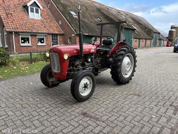 Massey Ferguson 35 X  3 cilinder beschikbaar voor biedingen