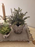 Kunstplantje in grijze stenen pot, Belle Vieille Brocante, Nieuw, Ophalen of Verzenden, Jolandamonsieurs@gmail.com