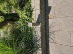 Stapelbare plantenbakstenen, Tuin en Terras, Tegels en Klinkers, Ophalen, Gebruikt, Overige typen, 10 m² of meer