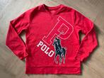 Ralph Lauren Polo sweater maat 164, Verzenden, Zo goed als nieuw, Jongen of Meisje, Trui of Vest