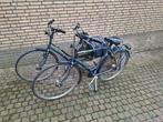 Gazelle Trendy fietsen gebruikt., Ophalen, Gebruikt, Versnellingen, 56 cm of meer