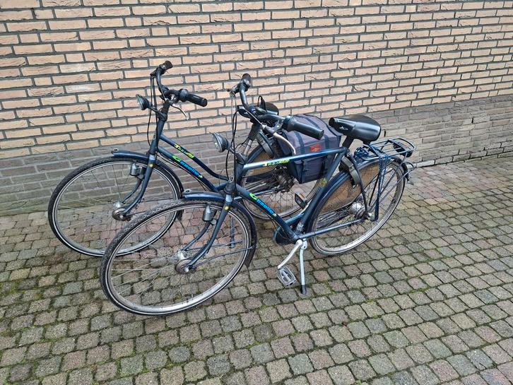 Gazelle Trendy fietsen gebruikt., Fietsen en Brommers, Fietsen | Dames | Damesfietsen, Gebruikt, Gazelle, Versnellingen, 56 cm of meer