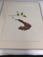 Litho van Peter ?, Antiek en Kunst, Kunst | Etsen en Gravures, Ophalen of Verzenden