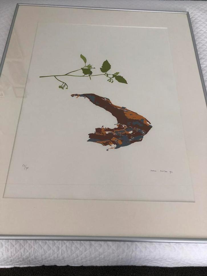 Litho van Peter ?, Antiek en Kunst, Kunst | Etsen en Gravures, Ophalen of Verzenden