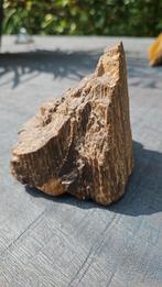 Groot en zwaar stuk versteend hout, Ophalen of Verzenden, Fossiel