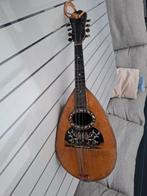 Mandoline van E. Patierno ., Muziek en Instrumenten, Snaarinstrumenten | Mandolines, Ophalen, Gebruikt