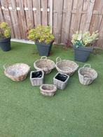 7 wilgen bloembakken, Tuin en Terras, Bloembakken en Plantenbakken, Overige materialen, Gebruikt, Minder dan 60 cm, Overige vormen