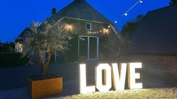 Fantastische Lichtletters 'LOVE' 1 meter hoog beschikbaar voor biedingen