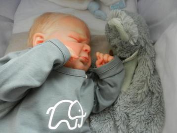 Te koop schattige reborn Thomas ! beschikbaar voor biedingen