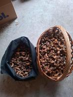 Hazelnoten, Ophalen of Verzenden