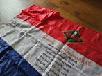 Nederlandse vlag met arm insteek, Ophalen of Verzenden, Zo goed als nieuw