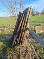 Weide palen houten paal, Ophalen, Gebruikt, 250 cm of meer, Palen
