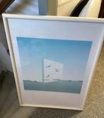 Poster vogels achter glas, Ophalen, 50 tot 75 cm, Overige typen, Zo goed als nieuw